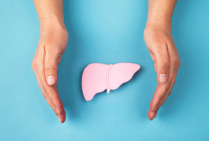 Liver